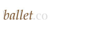 logo-lc.gif