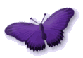 showletter-butterfly.gif